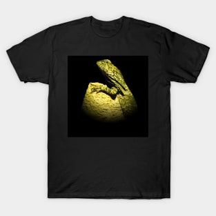 Frilled lizard T-Shirt